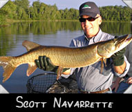 Scott Navarrette with 36-inch musky guided by John Farrow