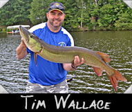 Past Hunter Tim Wallace boated this 46 3/4&rdquo; musky guided by Don Ladubec