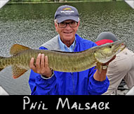 Past Hunter Phil Walsack landed this 36-inch musky guided by Matt McCumber