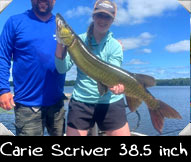 Past Hunter Carie Scriver landed  this 38.5-inch beauty while guided by  Craig Uhlenbrauck