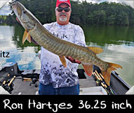 Past Hunter Ron Hartjes caught this 36.25-inch beauty while being guided by Darrell Fritz